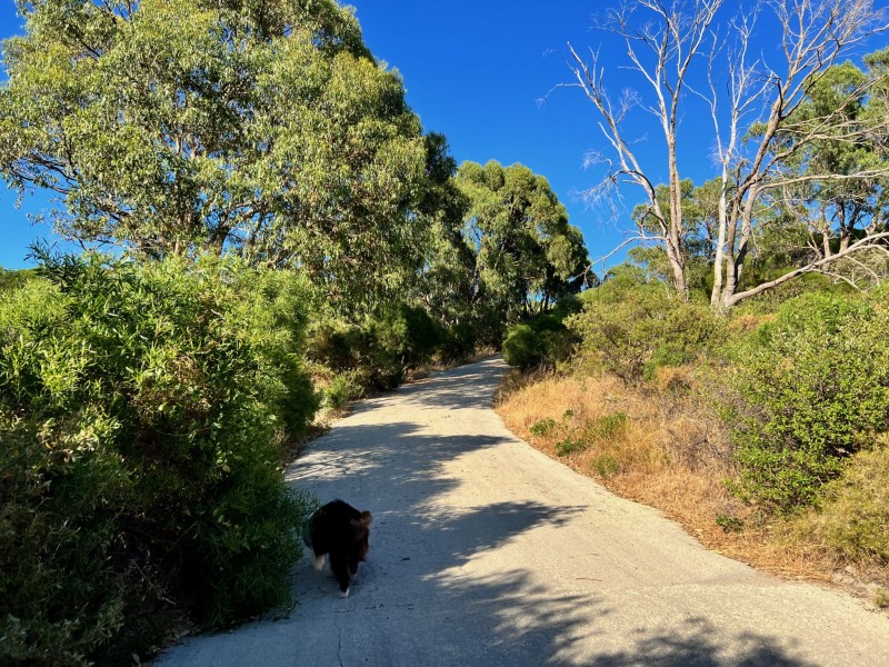 Trigg Bushland Walk, Bushlinks, - Trails WA