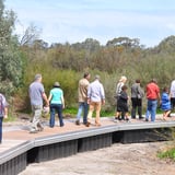 Bibra Lake Boardwalk 2