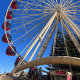 Wheel2 Freo Highlights Trail Tiffany Watson