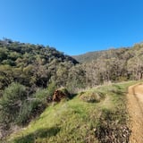 Echidna Trail Churchman Bushland P H A V C 2