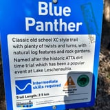 Blue Panther Lake Leschenaultia