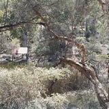View across the Canning River to the stone staircase