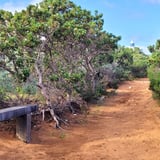 Cape Naturaliste Loop T Johnson 1.Jpg