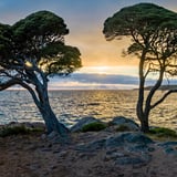 Shelley Cove Sunset
