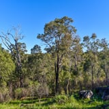 Yam Trail Lloyd Hughes Park P H A V C 3