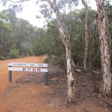 Trail head