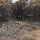 Beginning of the nature trial loop