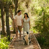 Greenbushes Pool boardwalk with dog
