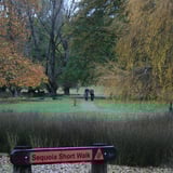 Sequoia Short Walk signage