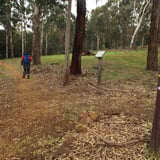 Follow the blue marker