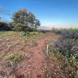 Pathways along Walk Trail 1_Wooleen Station