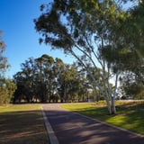Both gravel and paved paths for wheelchair and pram access.