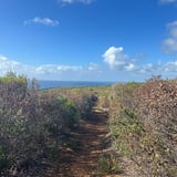 Shelley Cove Surface 3
