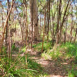 Deep River Loop Walk T Johnson 1