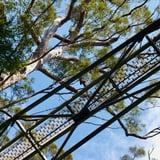 Treetop Walk16 Vog Walpole Nornnp Bronanderson