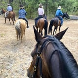 10Th Light Horse Bridle Trail, Peta Leigh Morris 3