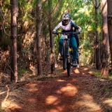 The-Luge-Toms-Crossing-Mountain-Bike-Trails-Dwellingup-Cred-Flow-MTB.jpg
