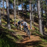 Easy Tiger 1 Tank 7 Daniela Tomassi