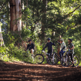 Trevors3 Pemberton Mtb Park Pemberton Cycling Association