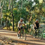 Around The Bridges1 Collie Russell Ord