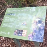 Lane Poole Falls Trail Boorara Gardner Np Northcliffe 2 Dbca Contain 1040X860.Jpg