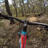 Some nice jumps at the bottom on Blue Panther