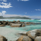 Circus Beach Kapagup Network Bron Anderson:dbca