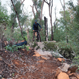 Kylie Trail 2_Collie