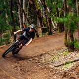 The Pines Easy 1
