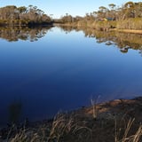 Yornaning Dam Tea Tree Bridge0