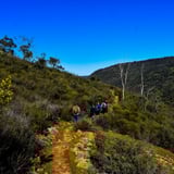 Walking along the ridge enjoying some spectacular Avon
Valley views.