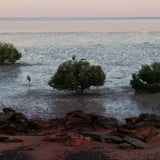 Tidal Roebuck Bay 