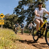 TWA - Wadandi Track - Jarrad Seng-149.jpg