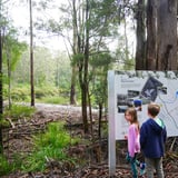 Shannon Dam Walk Trail, Shannon Np Bron Anderson (2).Jpg