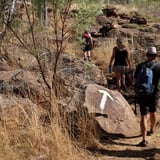 There are lots of trail markers on the way to Manning Gorge 
