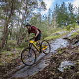 Slippery Gypsy 1 Tank 7 Daniela Tomassi