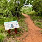 Gurlibil Trail3_Yawuru Minyirr CP_Broome_Dbca.jpeg