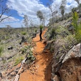Borhn Trail Johnforrest D B C A2