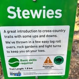 Stewies Lake Leschenaultia