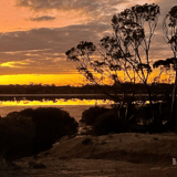Sunset Walker Lake Narembeen