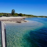 Penguin Island 2017 Amanda Smith 2