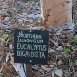 Interpretive signage