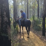 Whim Three Chillies2