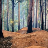 The Arboretum. Sean Tysoe (1)