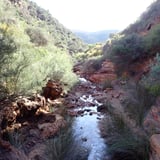Idingada 4Ways Trail 6.JPG