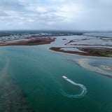 Peel Estuary Pelican Trail Visit Mandurah