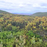 Sharp Point Trail Torndirrup T Johnson 2Jpg.jpg