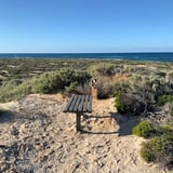 East Wallabi D B C A2