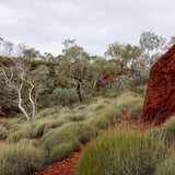 Knox Gorge Karijini Np Amanda Smith