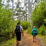 Wansbrough Walk